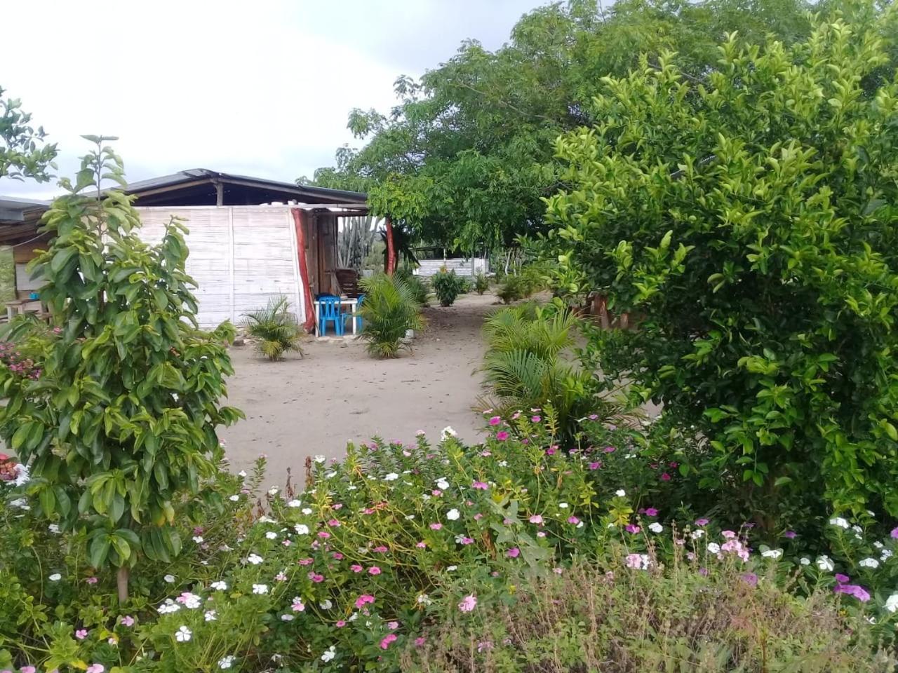 Pachingo La Primavera Villavieja Cameră foto